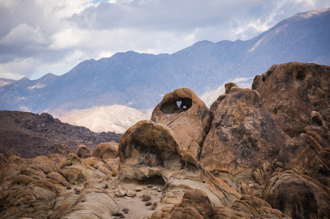 The Sad Trombone of the Fireless Campout