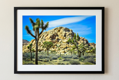 Hidden Valley Landscape | Fine Art Photography Print