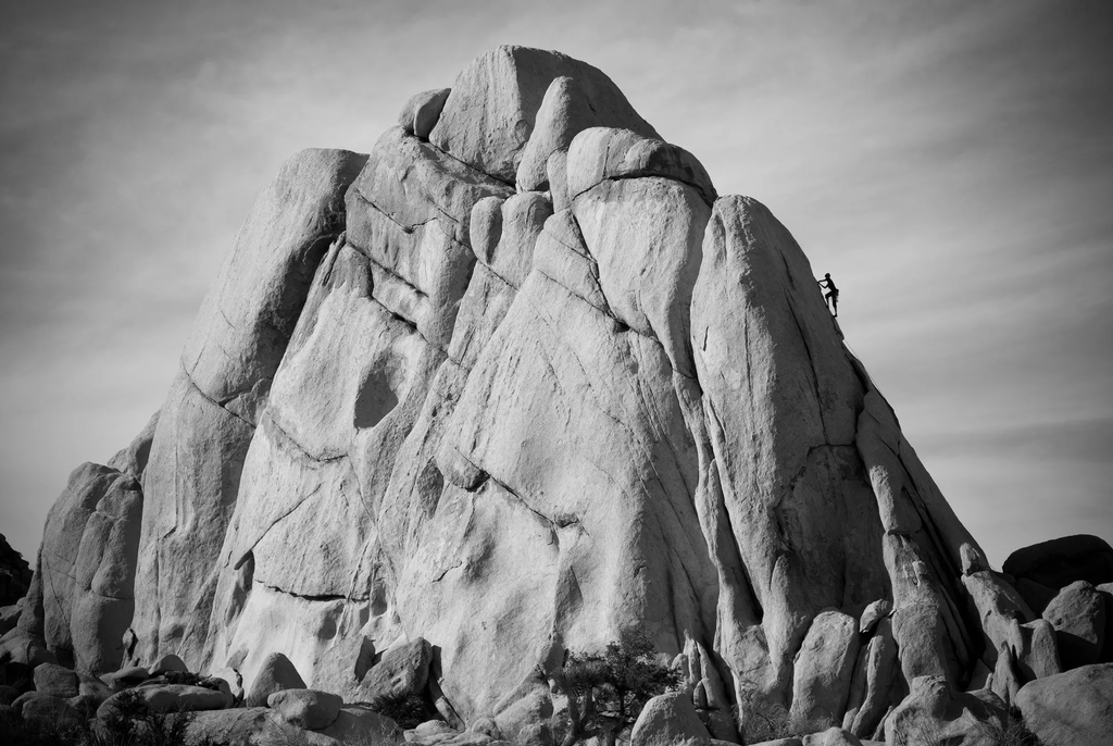 Joshua Tree Climber | Fine Art Photography Print
