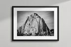 Joshua Tree Climber | Fine Art Photography Print