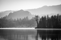 Union Reservoir | Fine Art Photography Print